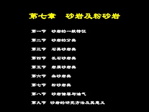 7.第七章  砂岩及粉砂岩