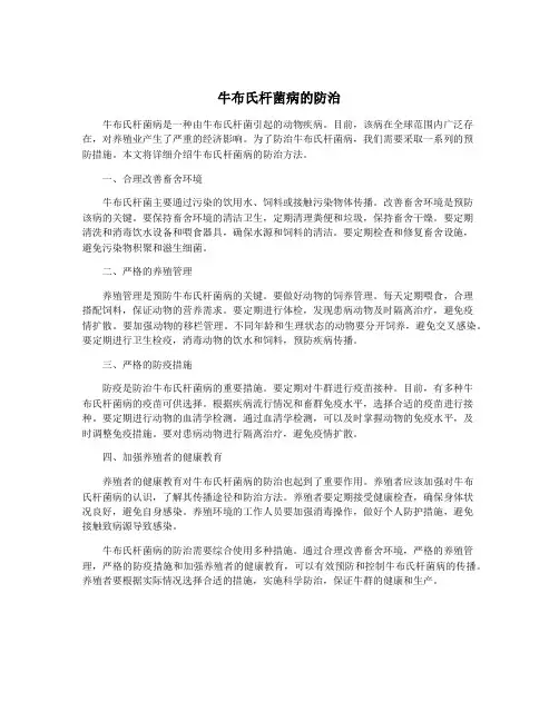 牛布氏杆菌病的防治