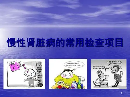 慢性肾脏病的常用检查项目PPT课件