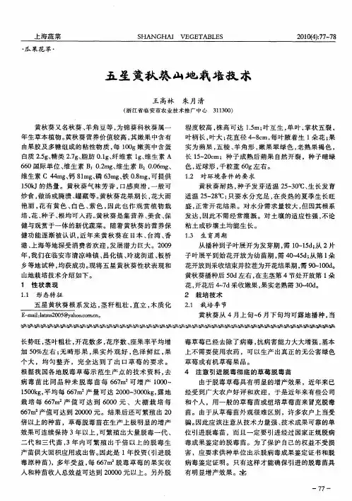 五星黄秋葵山地栽培技术