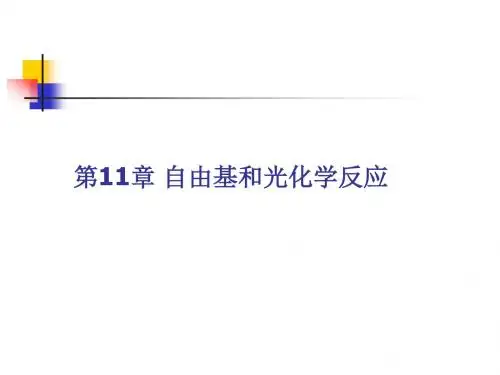 物理有机化学第11章自由基和光化学反应