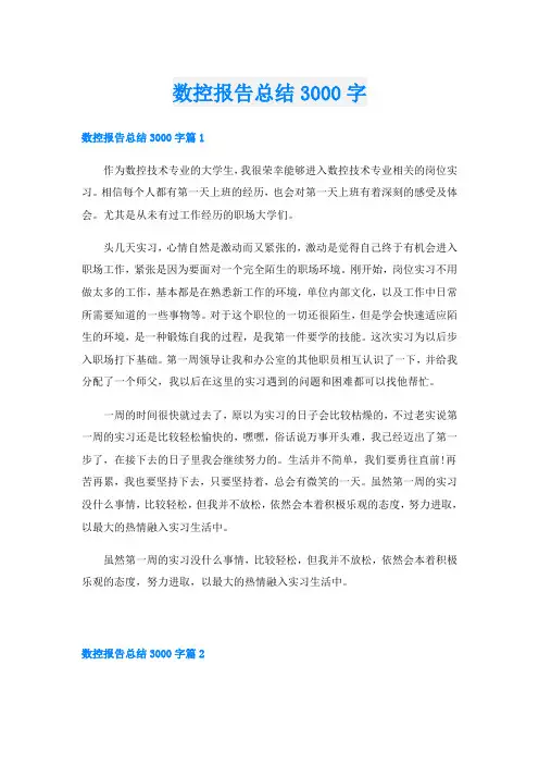 数控报告总结3000字