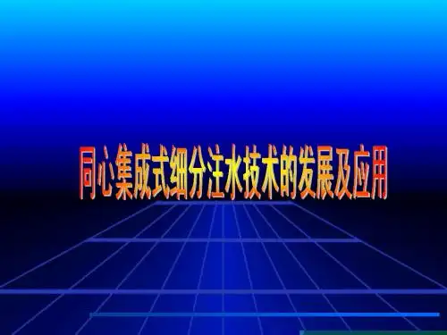 分层注水技术