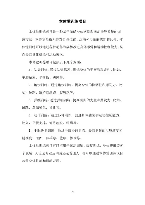 本体觉训练项目