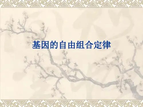 基因的自由组合定律