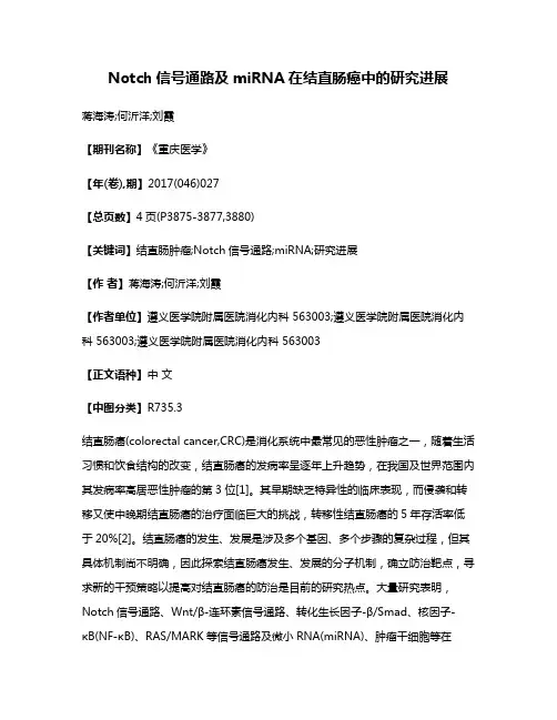 Notch信号通路及miRNA在结直肠癌中的研究进展