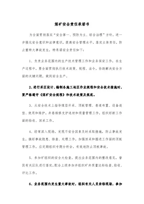煤矿安全责任承诺书（2篇）