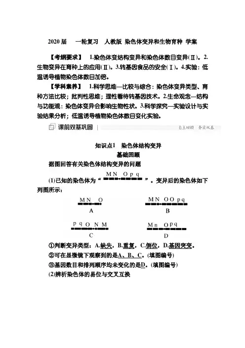 2020届   一轮复习  人教版 染色体变异和生物育种 学案.doc