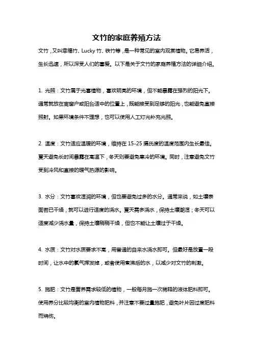 文竹的家庭养殖方法