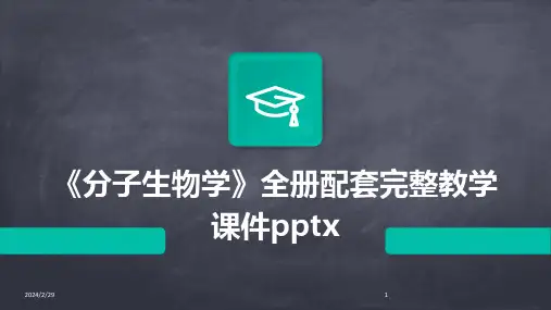 2024年《分子生物学》全册配套完整教学课件pptx