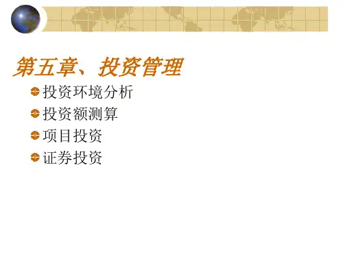 财务管理学——投资管理(第五章).pptx