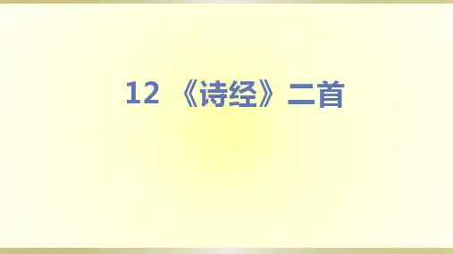 12 《诗经》二首