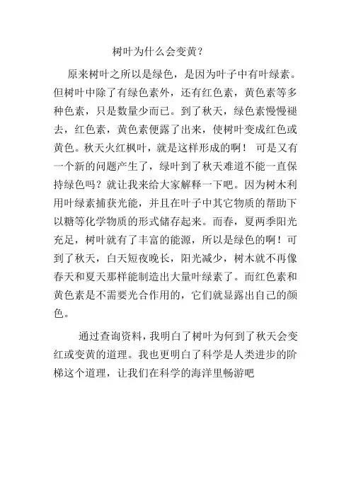 树叶为什么会变黄