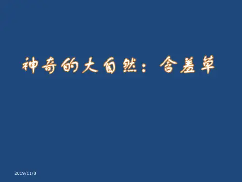 神奇的大自然：含羞草PPT课件