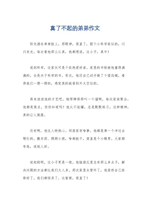真了不起的弟弟作文