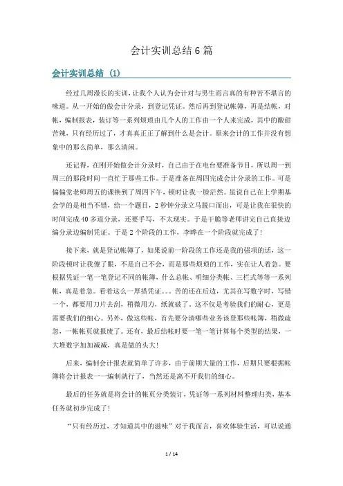 会计实训总结6篇