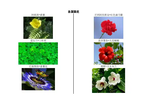 世界各国国花