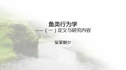 鱼类行为学——(一)定义与研究内容