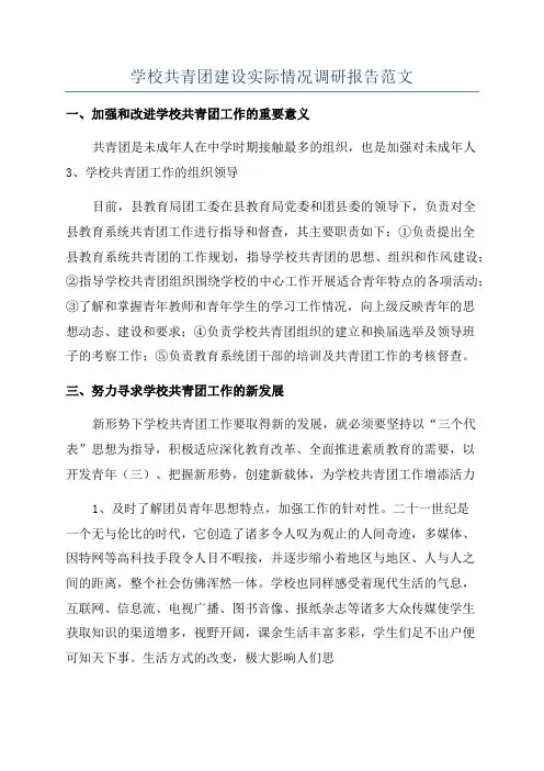 学校共青团建设实际情况调研报告范文