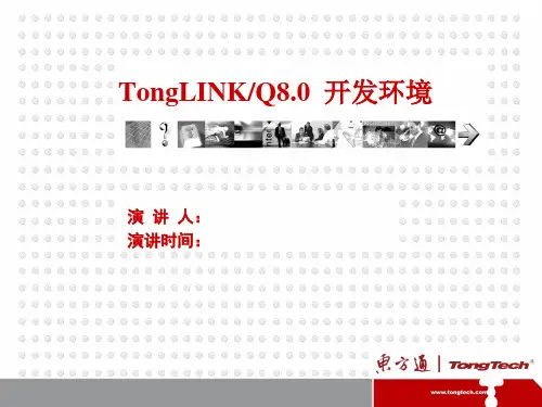 [3]TLQ8.0产品培训-开发环境