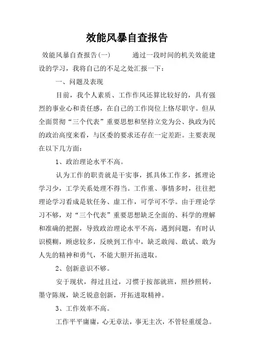 效能风暴自查报告
