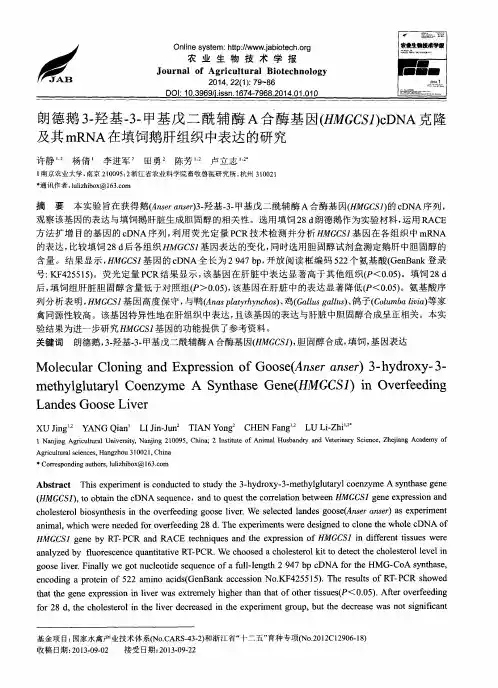 朗德鹅3-羟基-3-甲基戊二酰辅酶A合酶IN(HMGCS1)cDNA克隆及其mRNA在填饲鹅肝组织中表达的研究