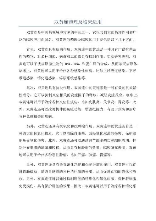 双黄连药理及临床运用