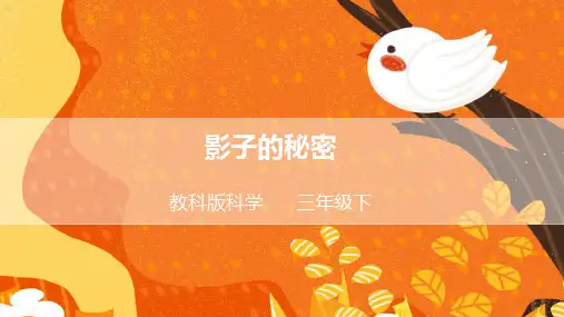 教科版小学三年级科学下册《影子的秘密》精品课件2