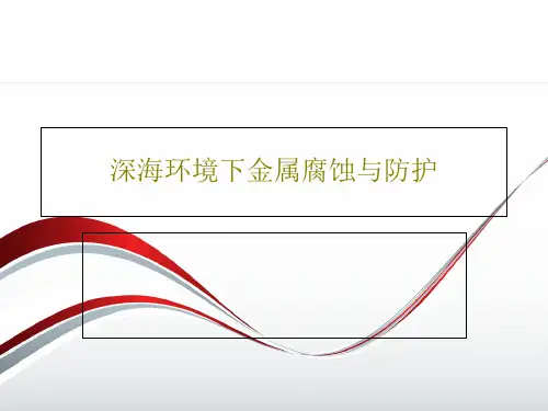 深海环境下金属腐蚀与防护PPT文档53页