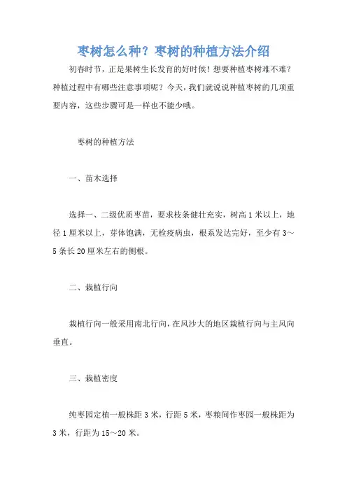 枣树怎么种？枣树的种植方法介绍