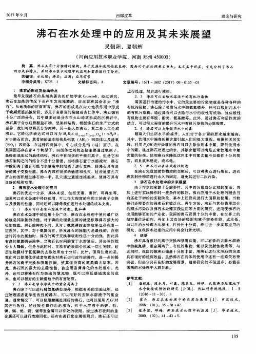 沸石在水处理中的应用及其未来展望