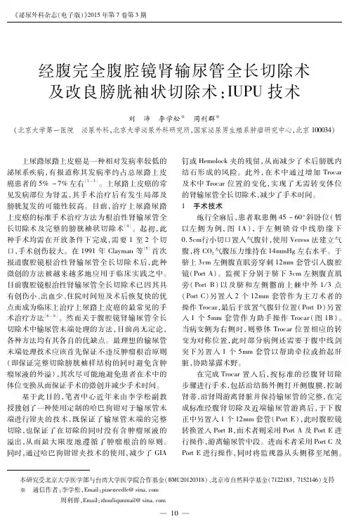 经腹完全腹腔镜肾输尿管全长切除术及改良膀胱袖状切除术：IUPU技术
