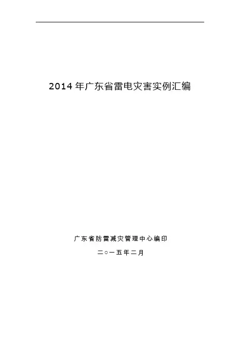2014年广东雷电灾害实例汇编