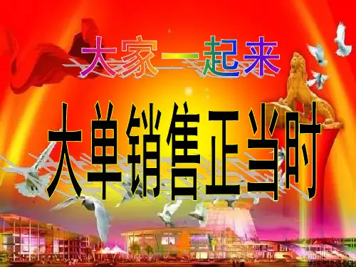 大单销售正当时(PPT 46页)