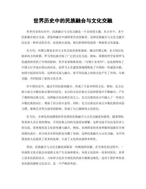 世界历史中的民族融合与文化交融