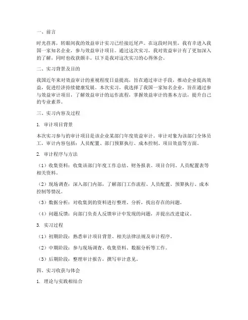 效益审计实习心得报告