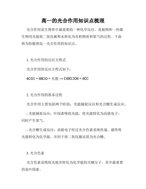 高一的光合作用知识点梳理