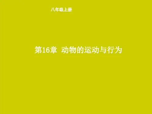 八年级生物上册《第16章 动物的运动与行为》课件(17张PPT)