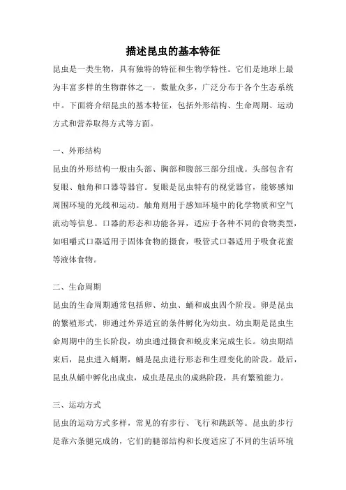 描述昆虫的基本特征