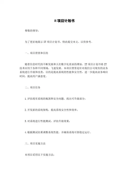 it项目计划书