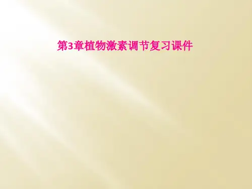 第3章植物激素调节复习课件