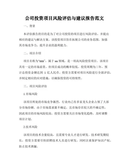 公司投资项目风险评估与建议报告范文