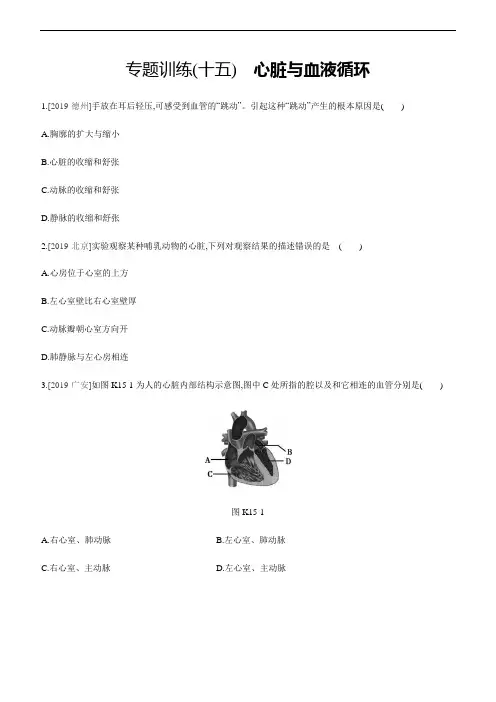 中考生物复习一轮专题训练(15) 心脏与血液循环