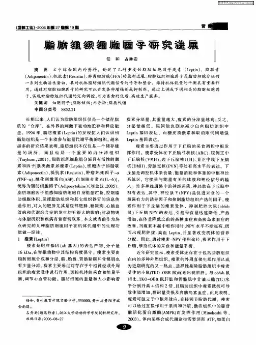 脂肪组织细胞因子研究进展