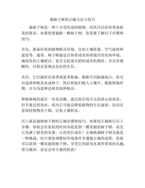 栽柿子树的正确方法与技巧