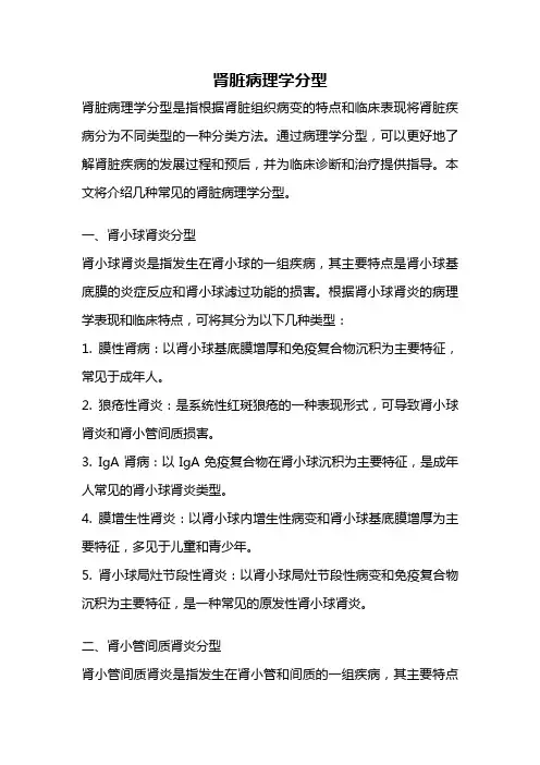 肾脏病理学分型