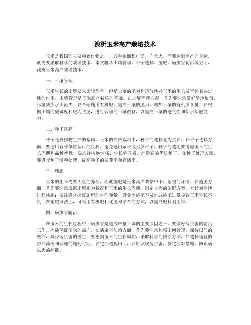 浅析玉米高产栽培技术