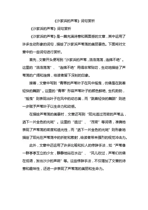 《沙家浜的芦苇》词句赏析