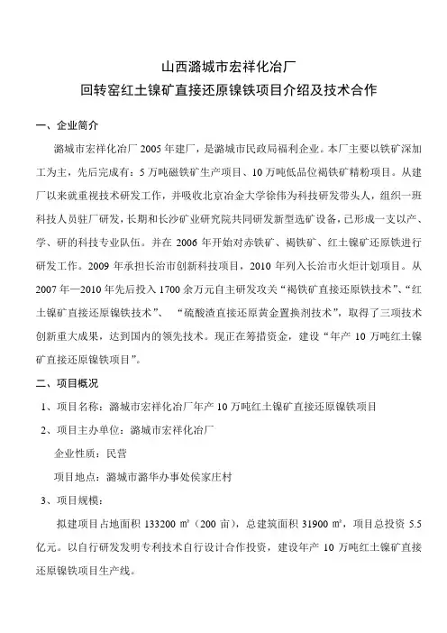 红土镍矿回转窑直接还原镍铁生产技术