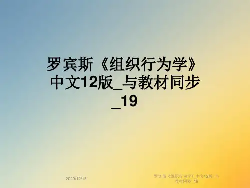 罗宾斯《组织行为学》中文12版_与教材同步_19